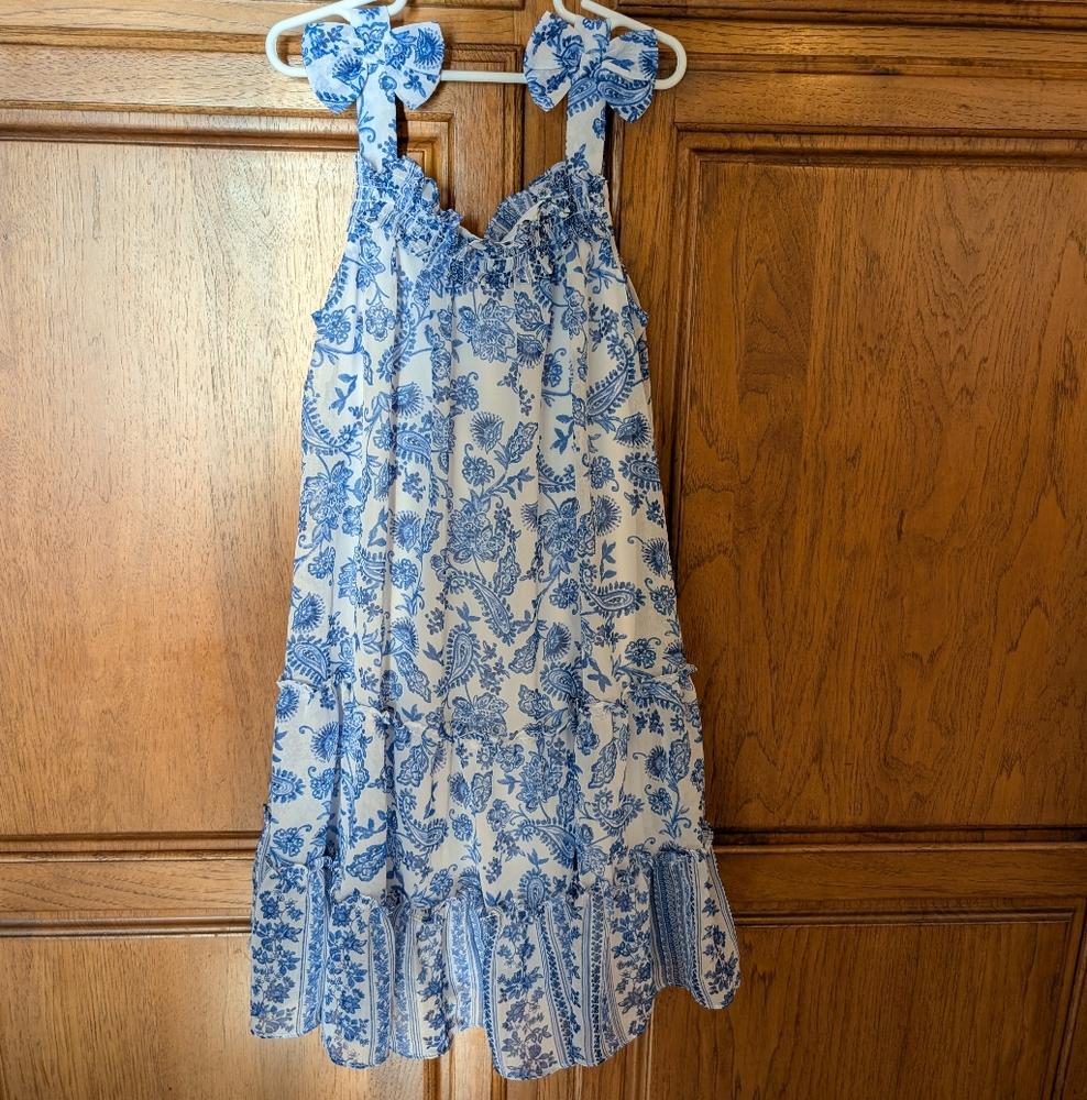 Blue and White Floral Dress